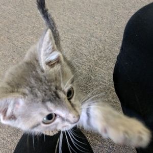 Meet your Posher, Michele